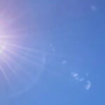 Profile photo of Erika Halweil